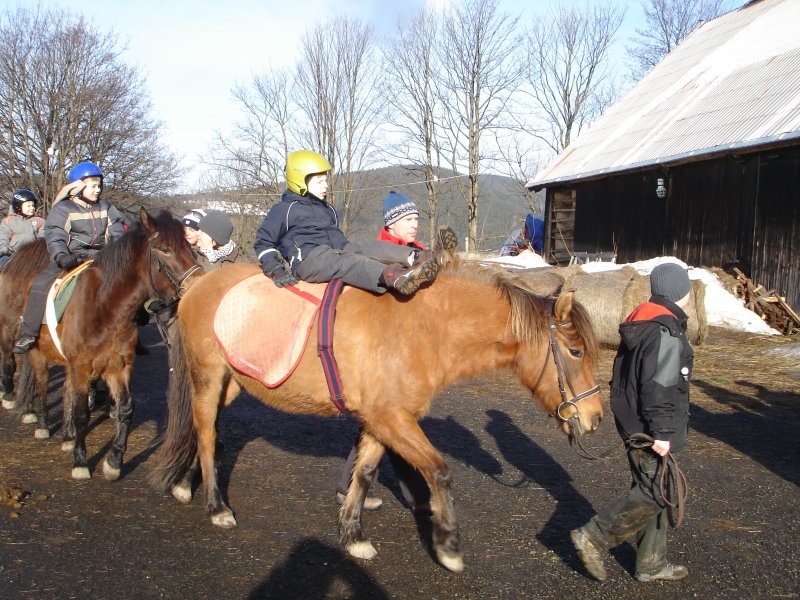 Hipoterapie Janova Hora 2008