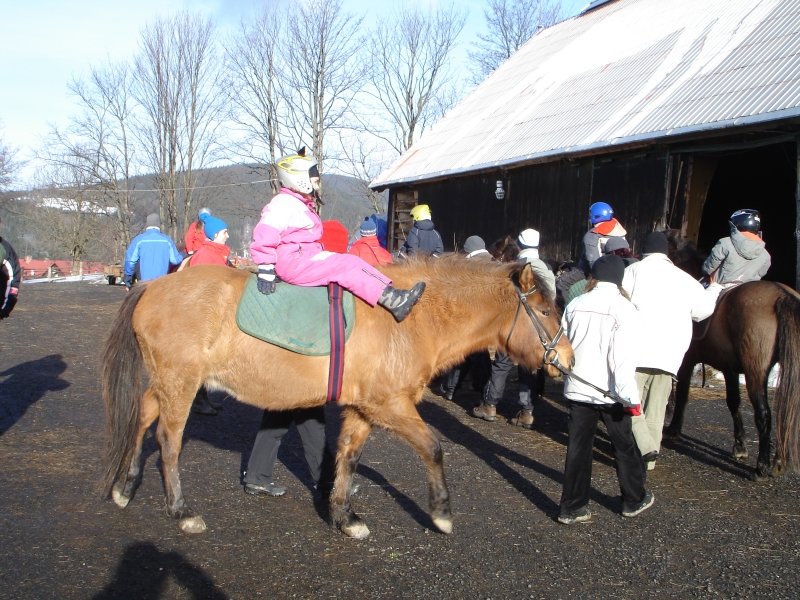 Hipoterapie Janova Hora 2008