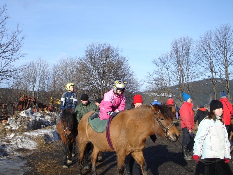 Hipoterapie Janova Hora 2008